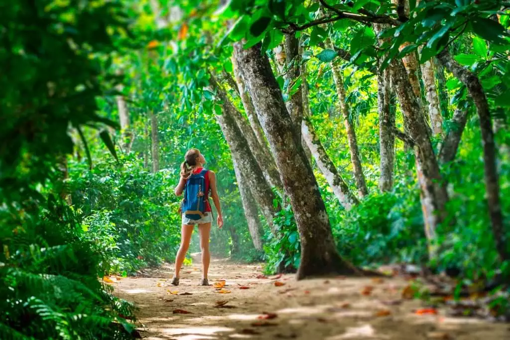What Is Ecotourism? (The History & Principles of Responsible Travel)