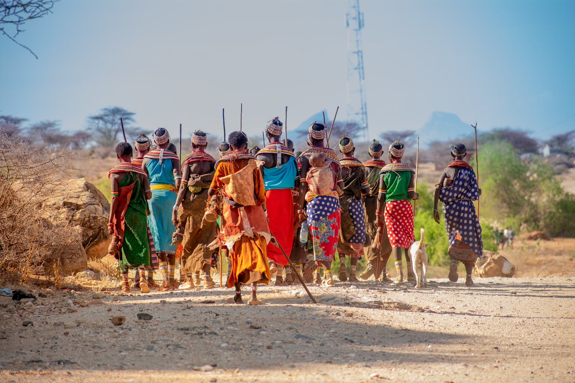10 Days Classic Kenya Cultural Safari Tour: An Immersible Journey Through Wildlife, Traditions, and Timeless Landscapes