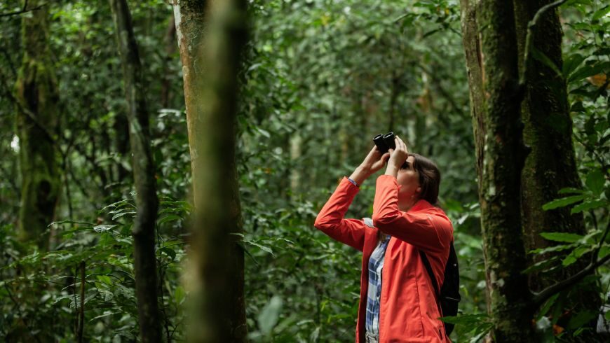 Exploring the Benefits of Ecotourism: A Travel Choice for Students
